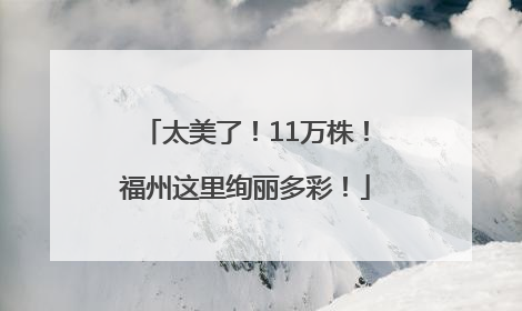 太美了！11万株！福州这里绚丽多彩！